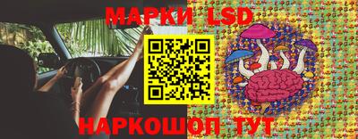 2c-b Камышлов