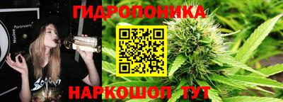 2c-b Камышлов
