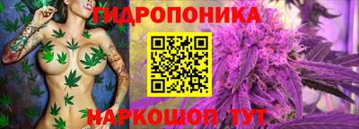 мяу мяу мука Кандалакша