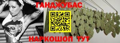 мяу мяу мука Кандалакша