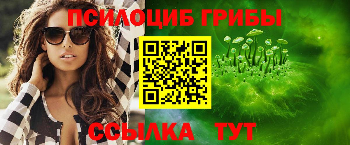 Красный Сулин  Псилоцибиновые грибы GOLDEN TEACHER  Вход с VPN  Галлюциногенные грибы мицелий 